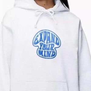 Aritzia Cozy Grey Expand Your Mind Hoodie